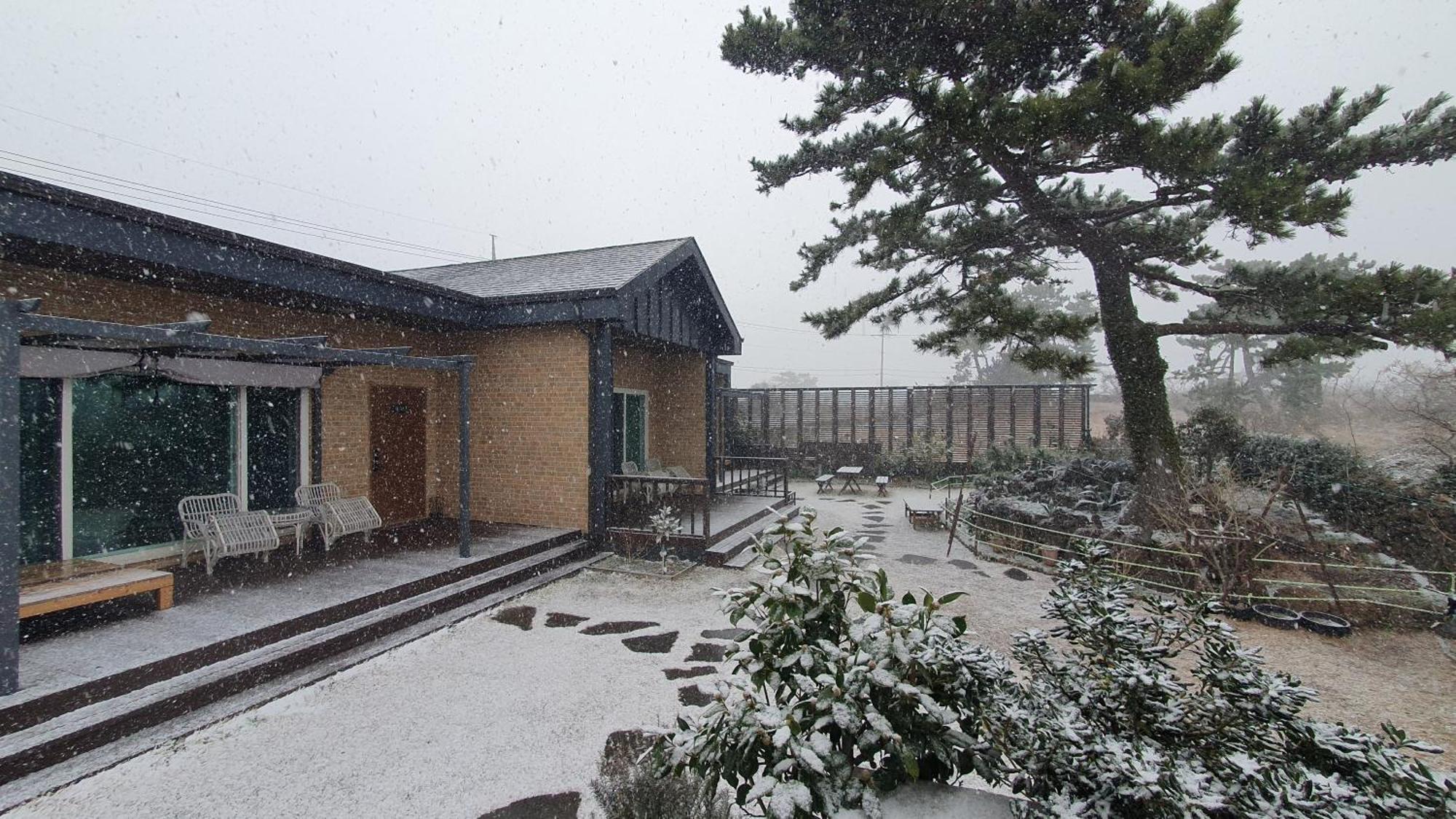 Wind Jeju Cafe & Pension Seogwipo Extérieur photo