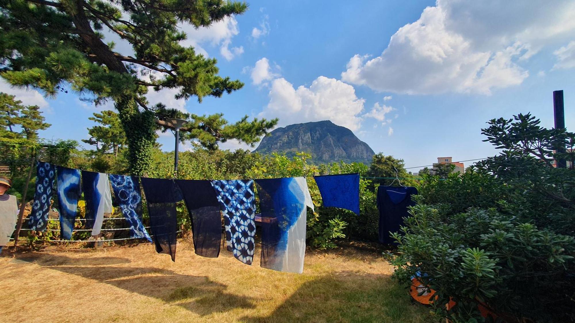 Wind Jeju Cafe & Pension Seogwipo Extérieur photo