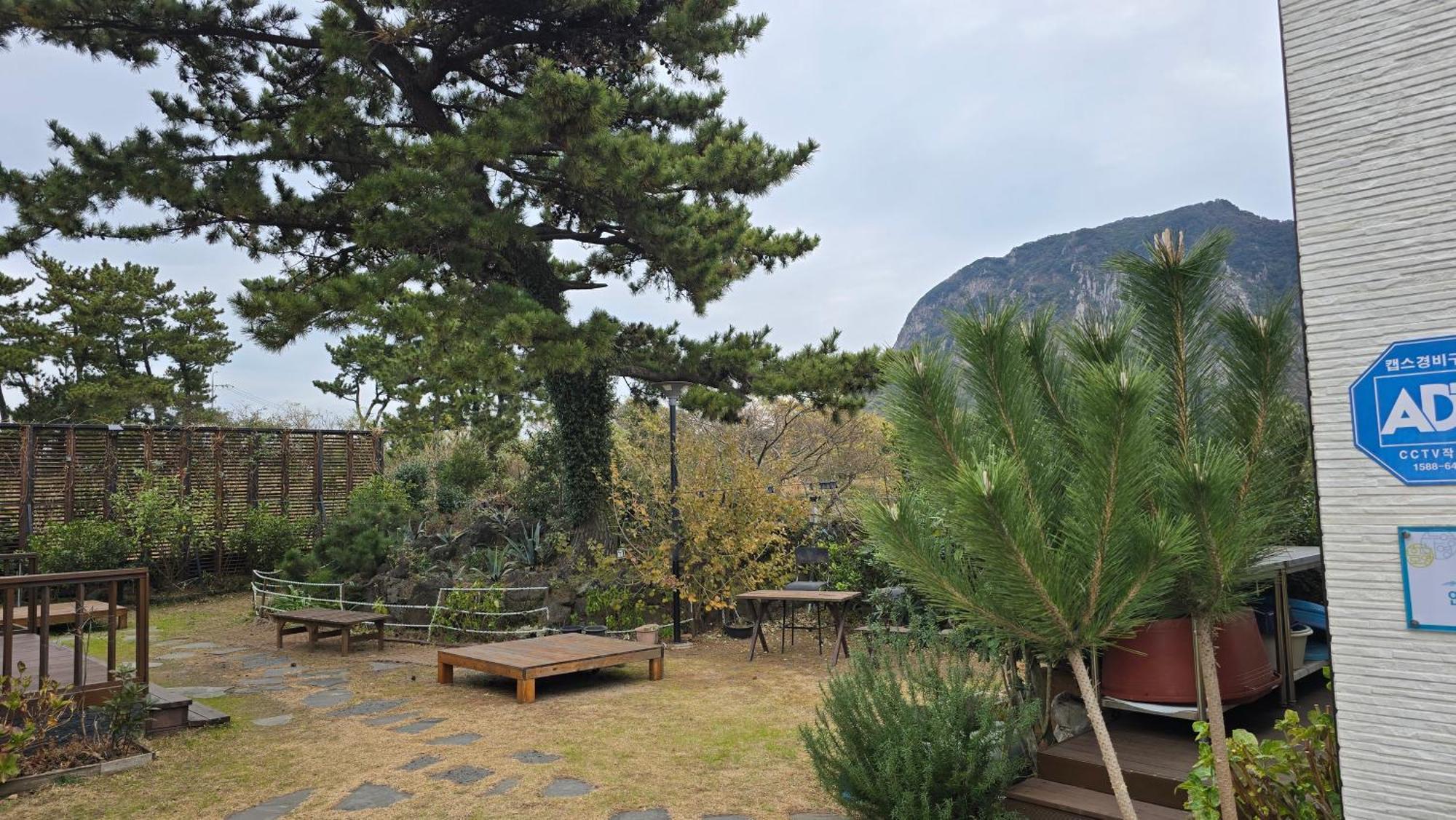 Wind Jeju Cafe & Pension Seogwipo Extérieur photo