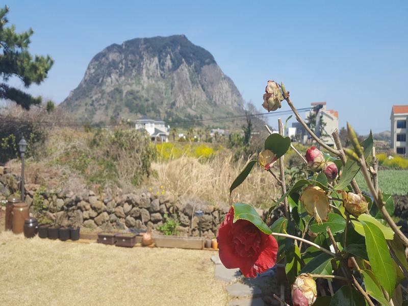 Wind Jeju Cafe & Pension Seogwipo Extérieur photo